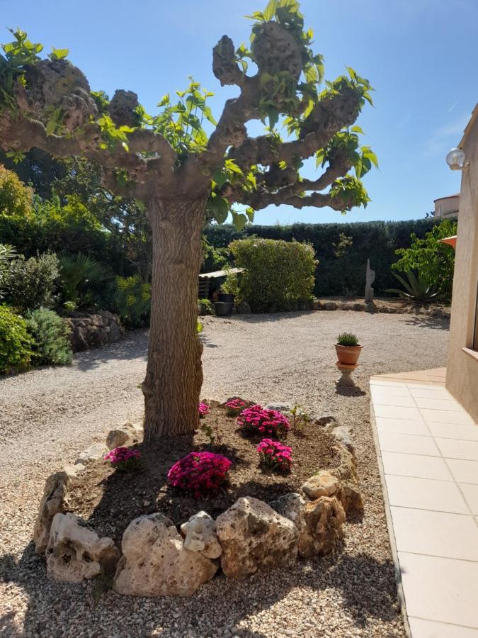 Gite Provencal Independant Avec Piscine Chauffee : Le Suy Bien Flayosc Exterior photo